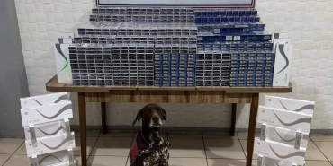 Kaçak Sigara 6 Bin 548 Paket Ele Geçirildi