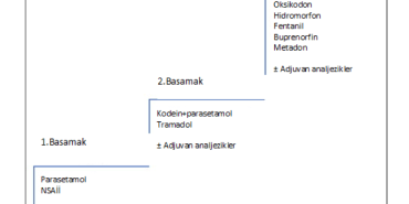 Ağrı Sağlık Sistemi Yeniden Yapılanıyor Neler Değişti