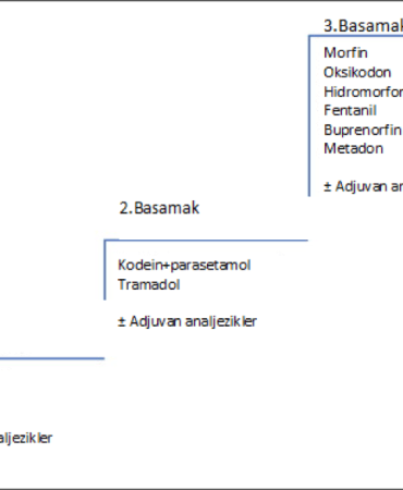 Ağrı Sağlık Sistemi Yeniden Yapılanıyor Neler Değişti Patnos Haberleri Ağrı Patnos Son Dakika Haberleri Ağrı Sağlık Sistemi Yeniden Yapılanıyor Neler Değişti