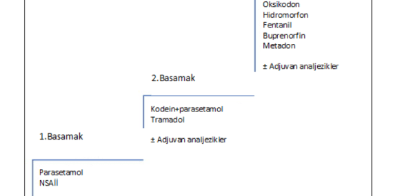 Ağrı Sağlık Sistemi Yeniden Yapılanıyor: Neler Değişti?