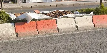 Ağrı Yün Kurutma Geleneği Geleneksel Bir Faaliyet