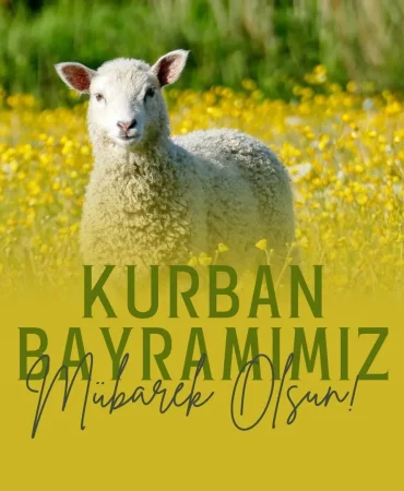 Kurban Bayramı Morali Ağrıdaki Askerlere Ziyaret Patnos Haberleri Ağrı Patnos Son Dakika Haberleri Kurban Bayramı Morali Ağrıdaki Askerlere Ziyaret