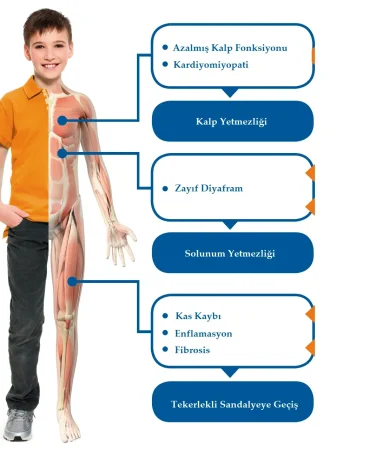 Duchenne Musküler Distrofi Destek Olun Kermesi Patnos Haberleri Ağrı Patnos Son Dakika Haberleri Duchenne Musküler Distrofi Destek Olun Kermesi