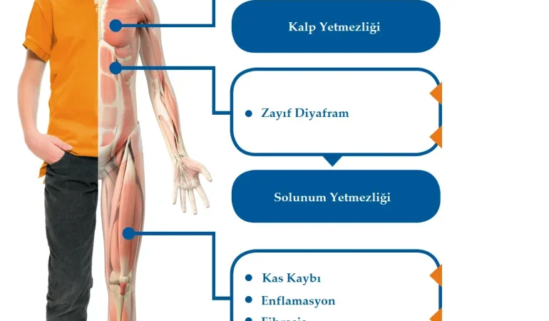 Duchenne Musküler Distrofi Destek Olun Kermesi Patnos Haberleri Ağrı Patnos Son Dakika Haberleri Duchenne Musküler Distrofi Destek Olun Kermesi
