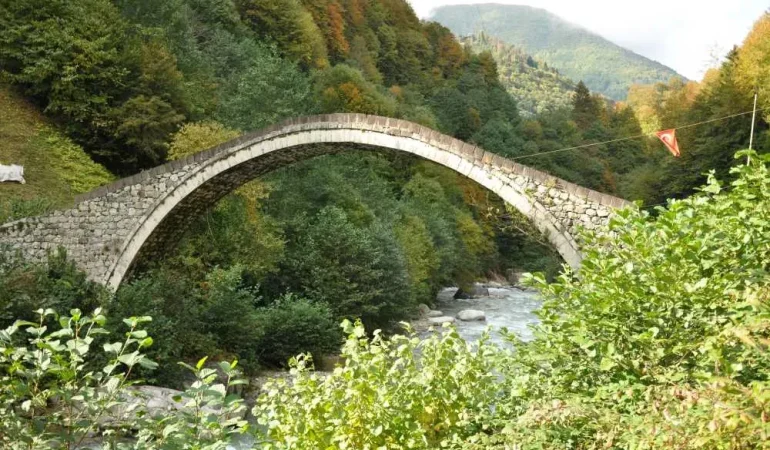 Yeltepe Köyü Köprüsü Hayvanlar İçin Güvenli Geçiş Patnos Haberleri Ağrı Patnos Son Dakika Haberleri Yeltepe Köyü Köprüsü Hayvanlar İçin Güvenli Geçiş