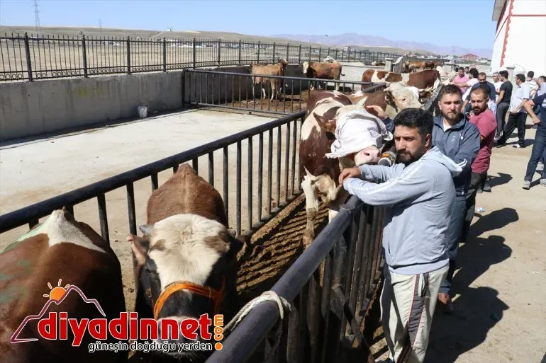 Kurban Bayramı Ağrı'da Valiyle Birlikte Kutlandı