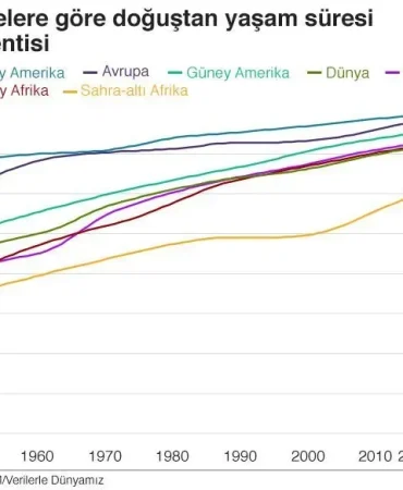 Ağrıda Ölüm Oranları Kanser ve Tümör Etkisi Patnos Haberleri Ağrı Patnos Son Dakika Haberleri Ağrıda Ölüm Oranları Kanser ve Tümör Etkisi
