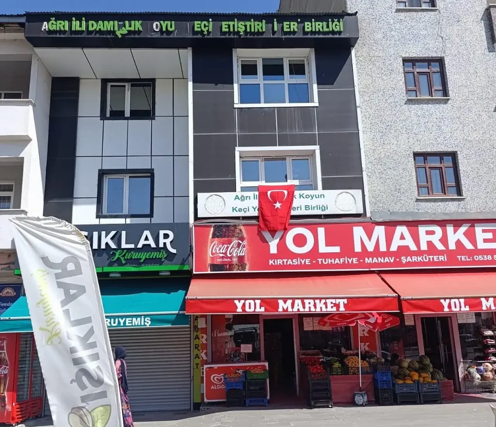 Ağrıda Bayrak Asma Millî Birlik ve Dayanışma