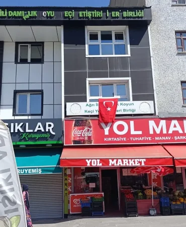 Ağrıda Bayrak Asma Millî Birlik ve Dayanışma