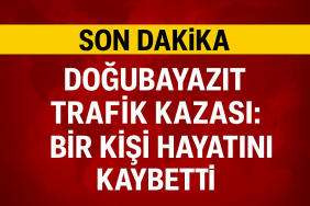 Doğubayazıt Trafik Kazası Bir Kişi Hayatını Kaybetti