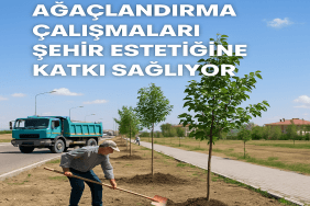 Patnos Ağaçlandırma Çalışmaları Şehir Estetiğine Katkı