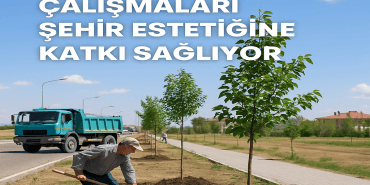 Patnos Ağaçlandırma Çalışmaları Şehir Estetiğine Katkı Ağrı Haber Patnos Son Dakika Patnos Ağaçlandırma Çalışmaları Şehir Estetiğine Katkı