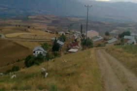 Yakınca Köyü Tarımı: Verimli Hasat ve Kırsal Yaşam