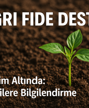 Ağrı Fide Desteği Denetim Altında Patnos Haberleri Ağrı Patnos Son Dakika Haberleri Ağrı Fide Desteği Denetim Altında
