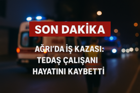 Ağrıda İş Kazası TEDAŞ Çalışanı Hayatını Kaybetti