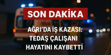 Ağrıda İş Kazası TEDAŞ Çalışanı Hayatını Kaybetti