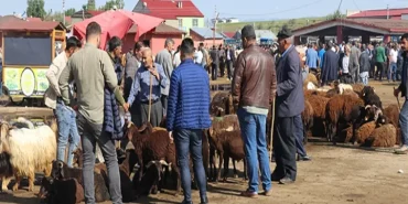 Ağrı Hayvan Borsası ne zaman açılacak