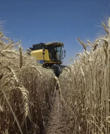 Genel Tarım Sayımı Ağrıda Sayım Büroları Faaliyette Patnos Haberleri Ağrı Patnos Son Dakika Haberleri Genel Tarım Sayımı Ağrıda Sayım Büroları Faaliyette