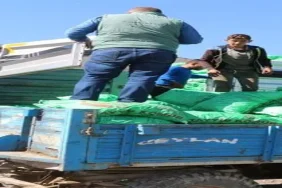 Ağrı Kömür Hareketliliği Sokakları Sardı