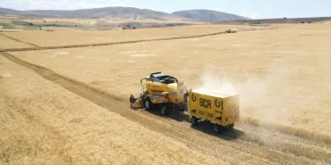 Ağrı Buğday Hasadı Vali Koçtan Önemli Açıklamalar