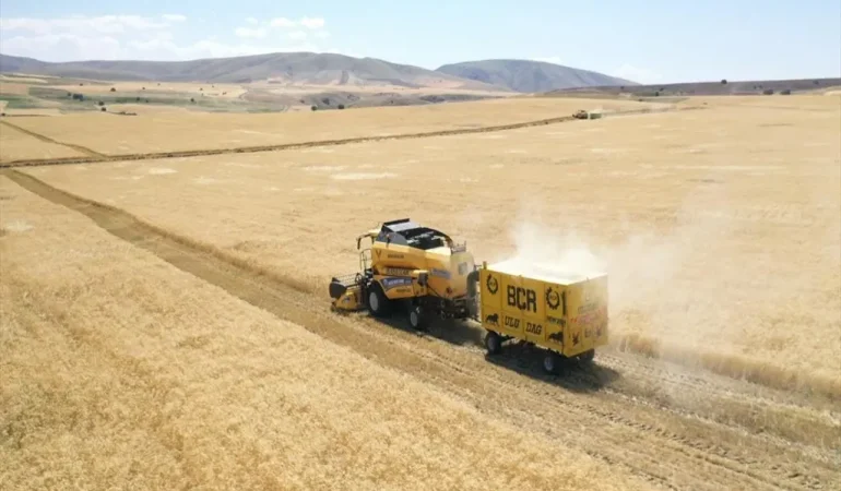Ağrı Buğday Hasadı Vali Koçtan Önemli Açıklamalar Patnos Haberleri Ağrı Patnos Son Dakika Haberleri Ağrı Buğday Hasadı Vali Koçtan Önemli Açıklamalar