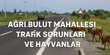 Ağrı Bulut Mahallesi Trafik Sorunları ve Hayvanlar