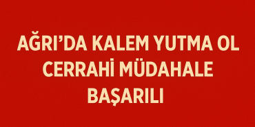 Ağrıda Kalem Yutma Olayı Cerrahi Müdahale Başarıları