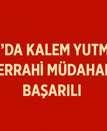 Ağrıda Kalem Yutma Olayı Cerrahi Müdahale Başarıları Patnos Haberleri Ağrı Patnos Son Dakika Haberleri Ağrıda Kalem Yutma Olayı Cerrahi Müdahale Başarıları