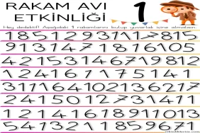 1 sayısı öğrenme oyunları Diyadin'de miniklerle başarılar