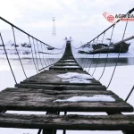 image_FCIWDUM340webp