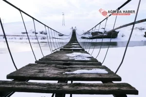 image_FCIWDUM340webp