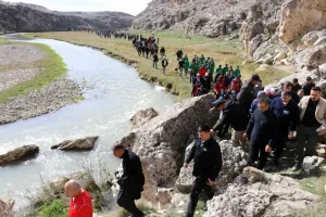 image_OQ1YMRURB2webp