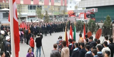 image_01VEGWFEC0webp