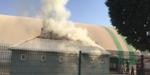 image_3RZBNJVZTOwebp