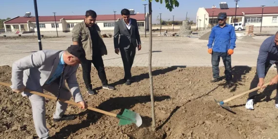 image_6JFH4CJE95webp