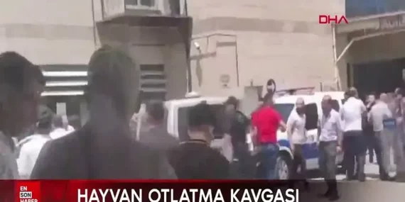 imageMBOO0BP30Fwebp Ağrı Haber Patnos Son Dakika image_MBOO0BP30Fwebp